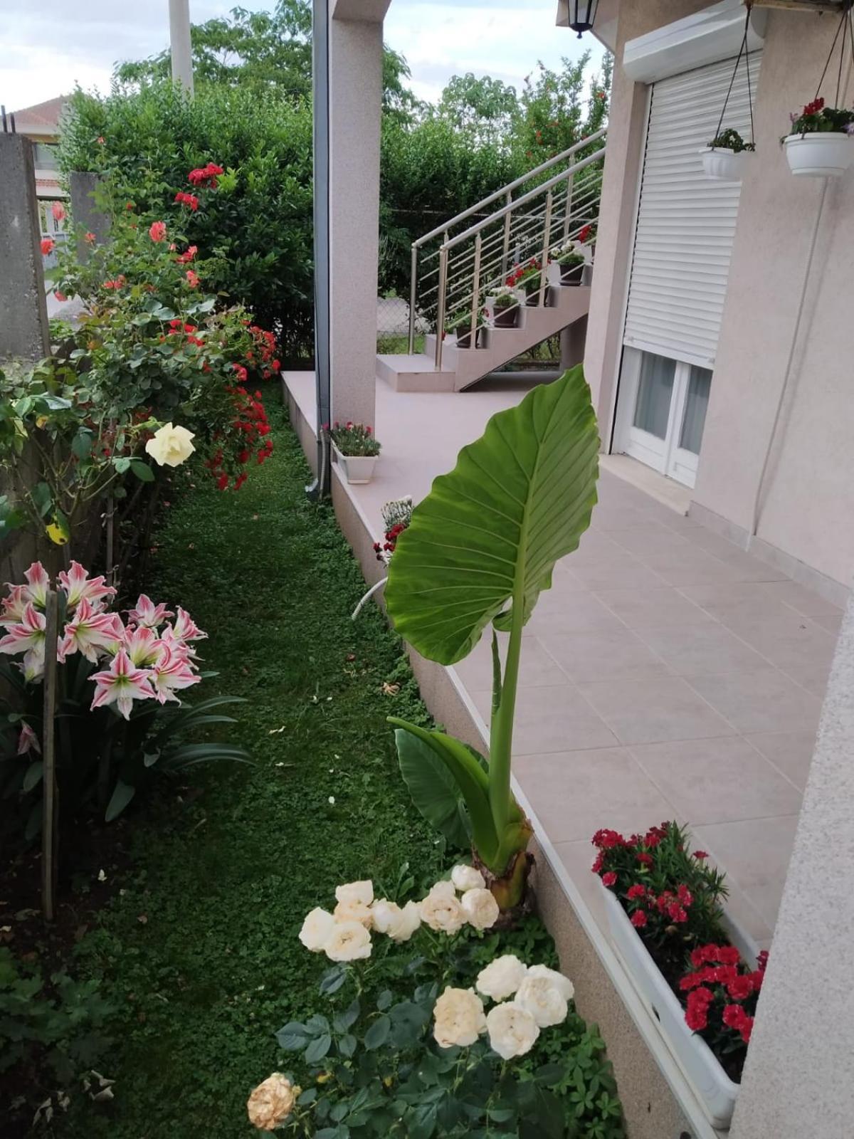 Entire House Floor - 2-Bedroom Cozy & Peaceful Apartment Podgorica Exterior foto